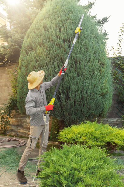 Best Lawn Pest Prevention  in Shelbyville, TN