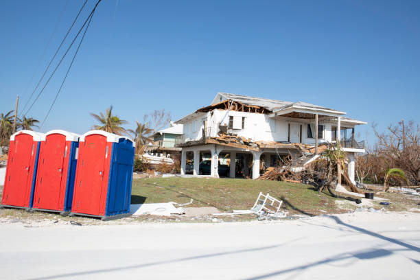 How Our Tree Care Process Works  in  Shelbyville, TN
